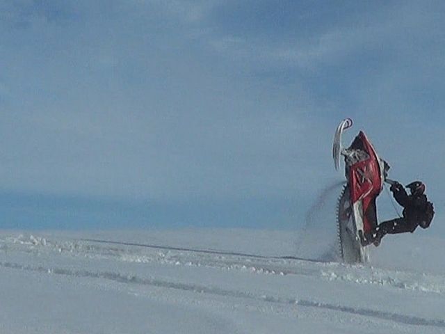 Tail stand by Devon Leverton