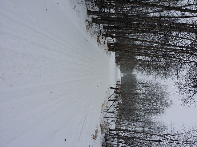 Awesome trails we have!