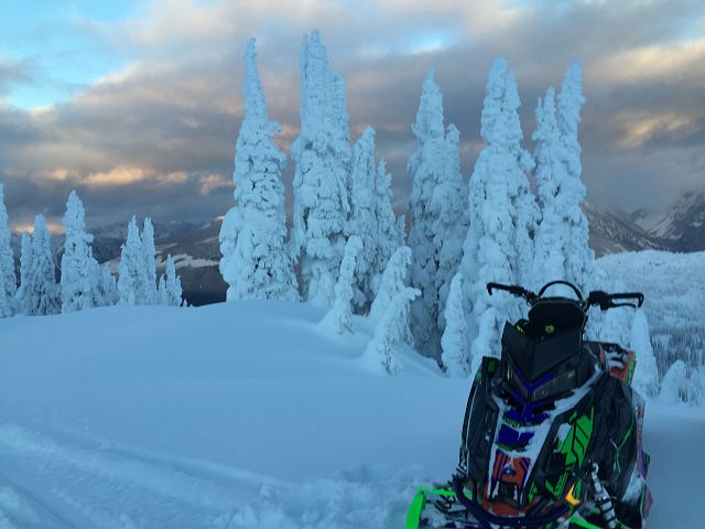 The Search for Snow continues 