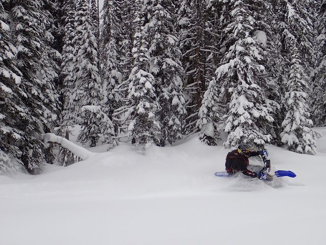 Snow bike - so much pow!