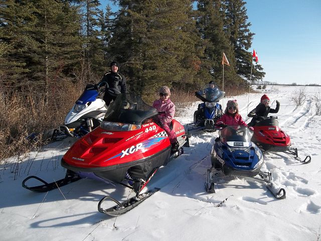 5 SLEDHEAD SAHULKA BABIES