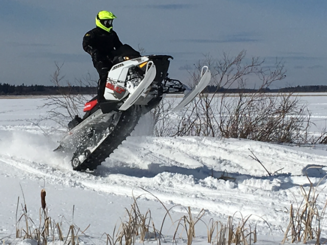 Jumping is so much fun!