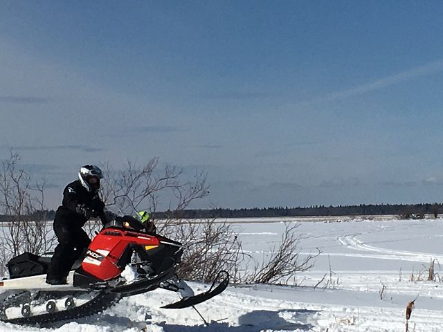 Seth can't let his older brother outdo him!