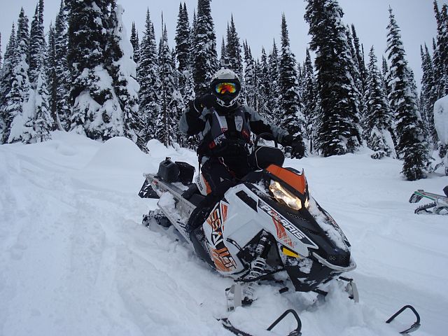 Ryan Adams, Picture by Hugh Houston