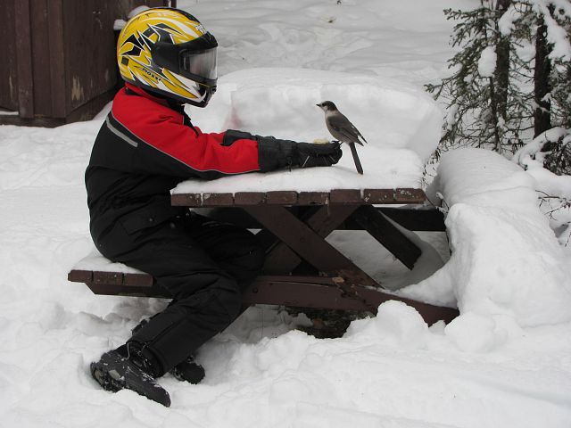 I make friends snowmobiling