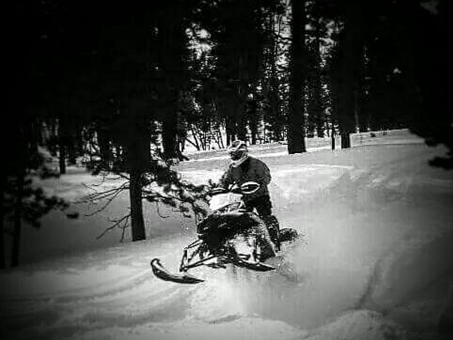 Coming out of the wild