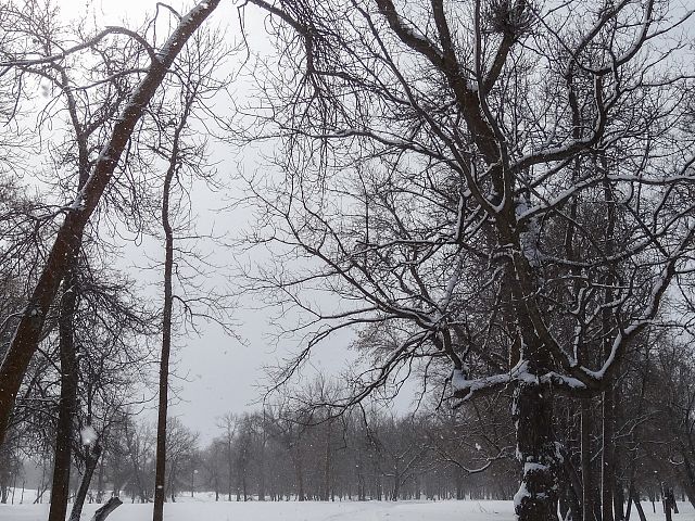 Mooswa Lake Snowriders BrightstoneTrail #750