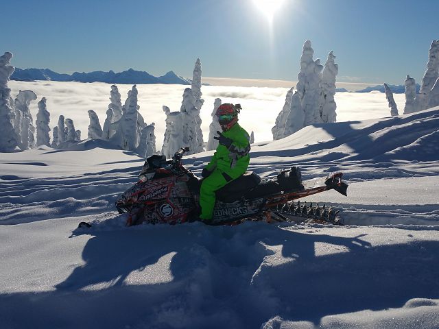 Nothing  better then a blue bird