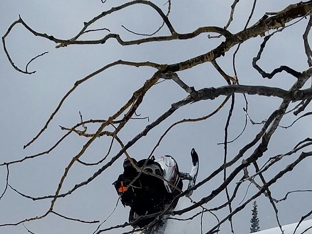 Chick's can fly to...lol