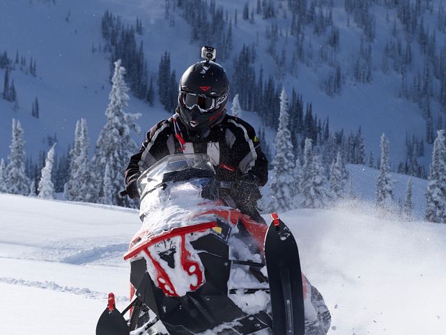 Pow turns on a blue bird day