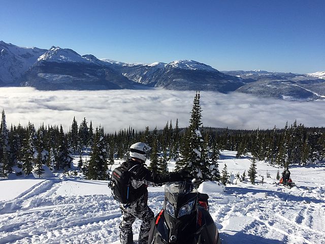 "Playing above the clouds on a blue bird day"