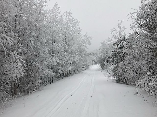 Esker trails November 23rd