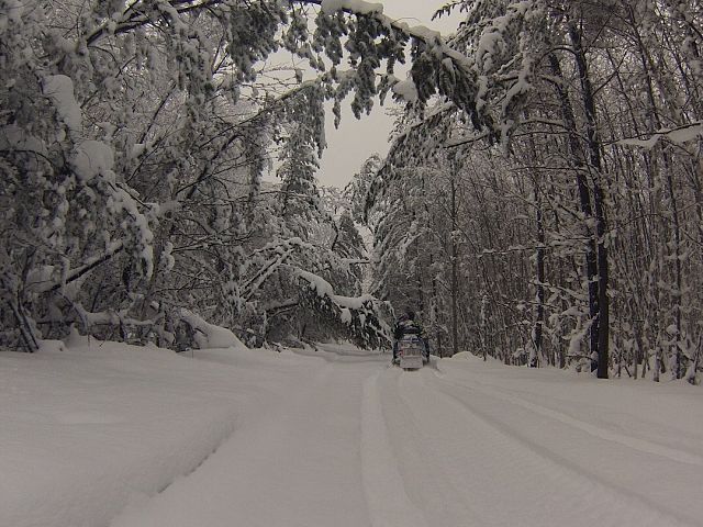 Breaking trail in the fresh snow. 