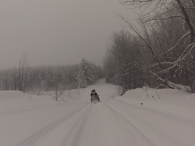 A break in the forest 