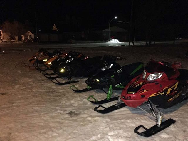 Just a bunch of cats hanging out 