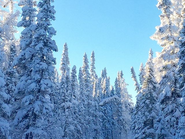 End of 2018 trail riding 