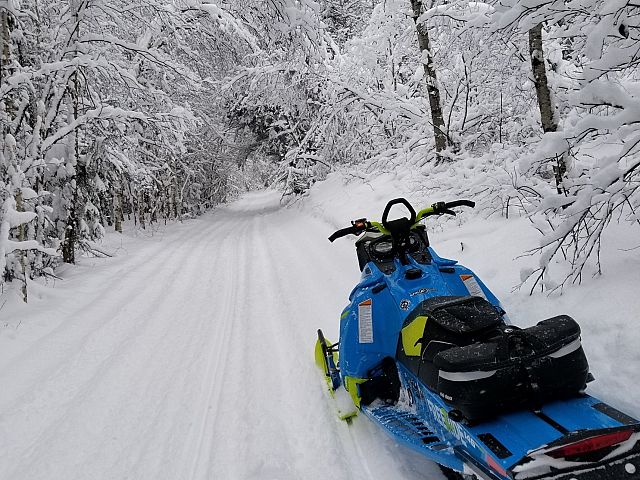 Trails in a winter wonderland