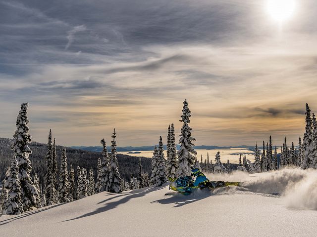 catching every last bit of light