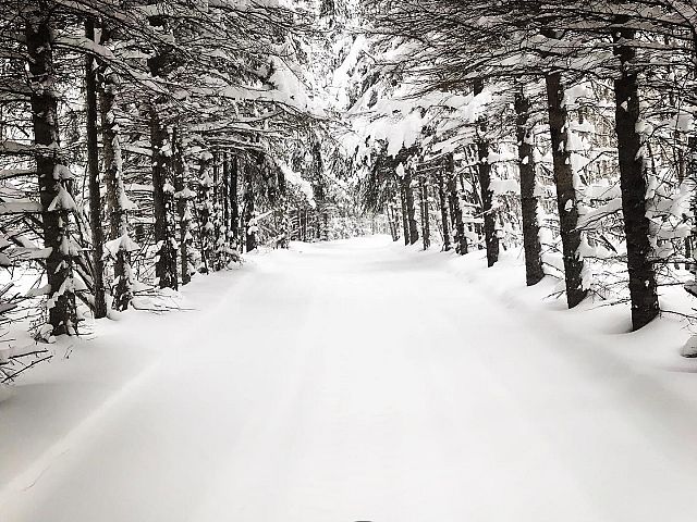 What heaven should look like 