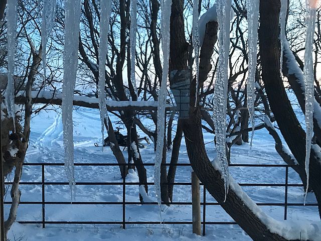 Looking thru the icicle curtain at our warm up shelter.  