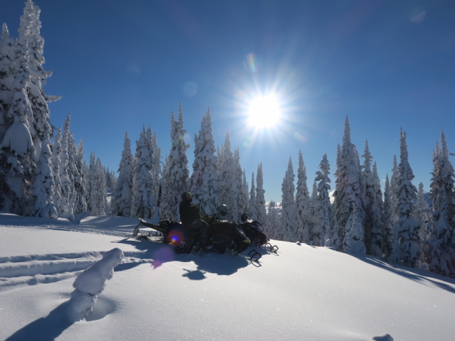 Best lunch spot in town