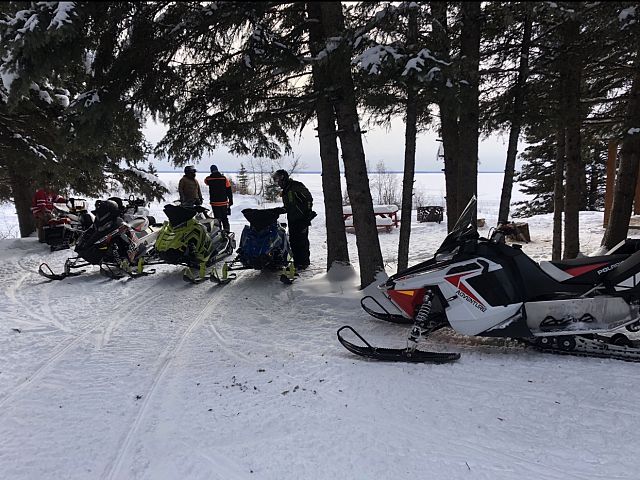 Shades always best to blend in