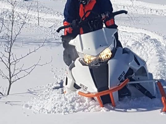 Cat problems....ha ha