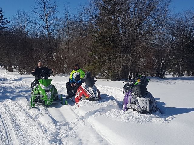 breaking in the grape