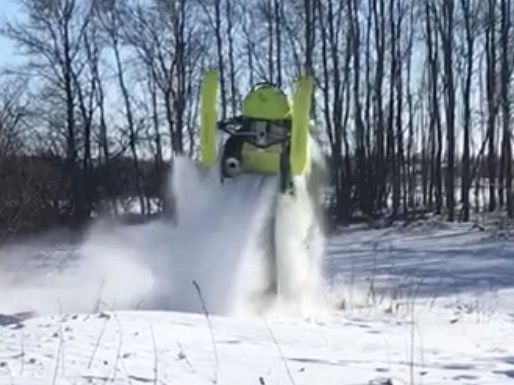 Near Saskatoon sk. Coming out of a bluff