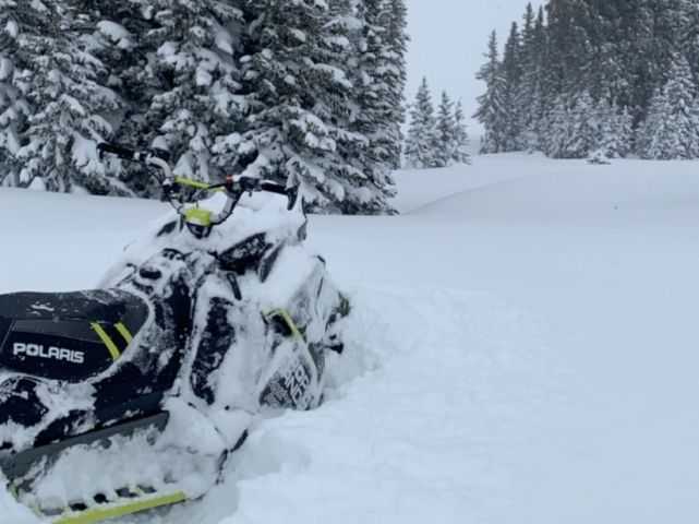 Fresh pow, first tracks!