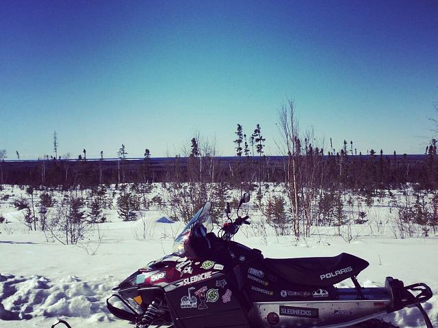 Beautiful spring day 