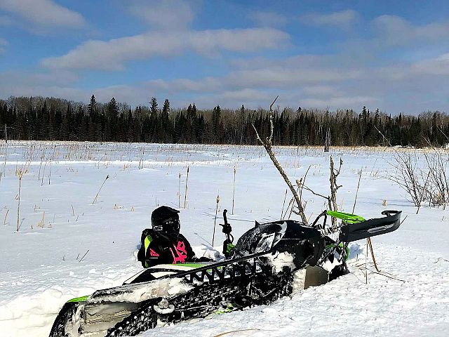 "Dont look at the tree, dont look at the tree" , I looked at the tree....