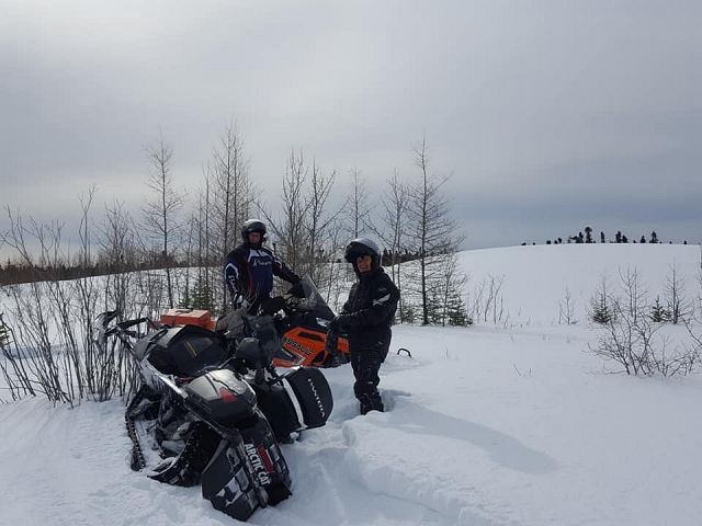 arctic cat -- rookies