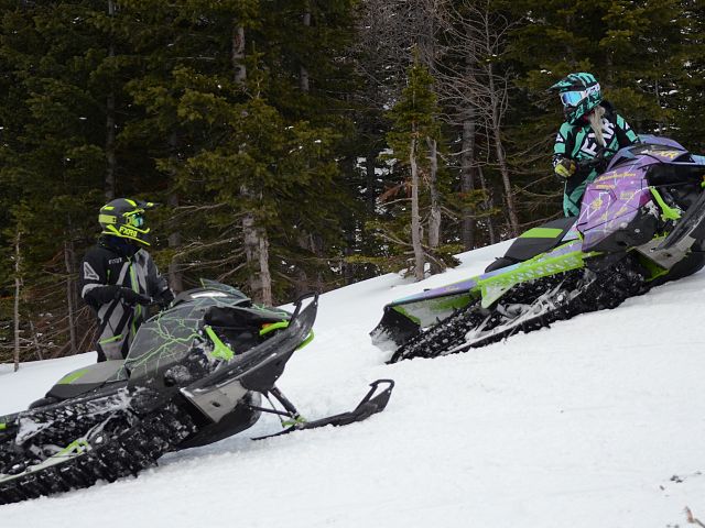 My favourite sledding couple