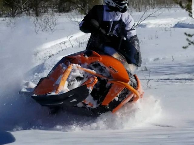 Spring tree sledding 