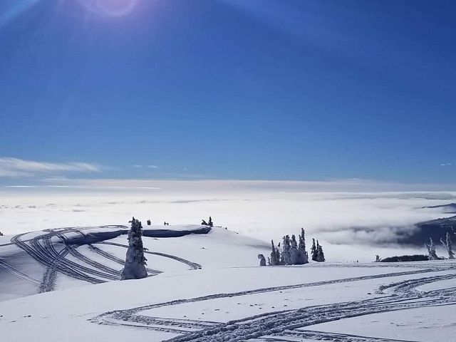 Drawing lines in the sunshine