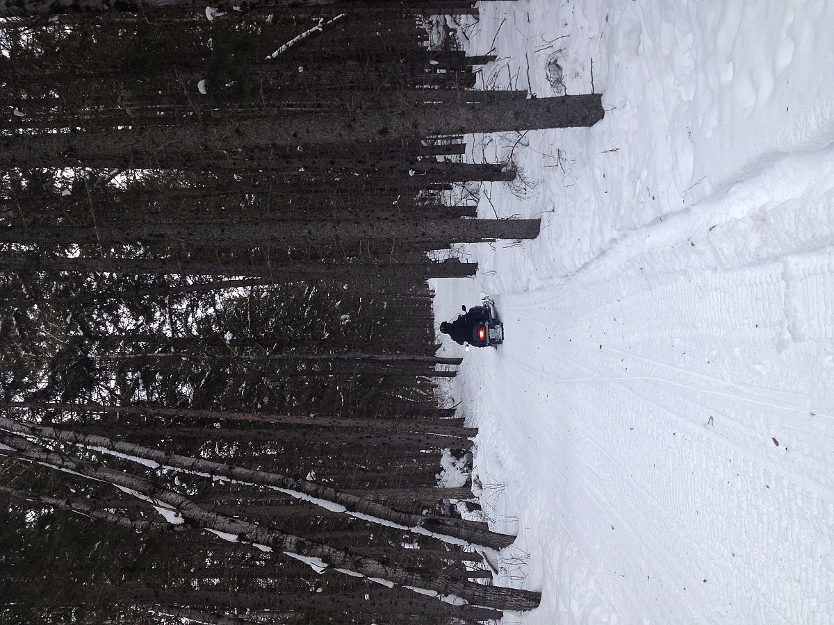 Sledding on the trails near Greenwater Lake