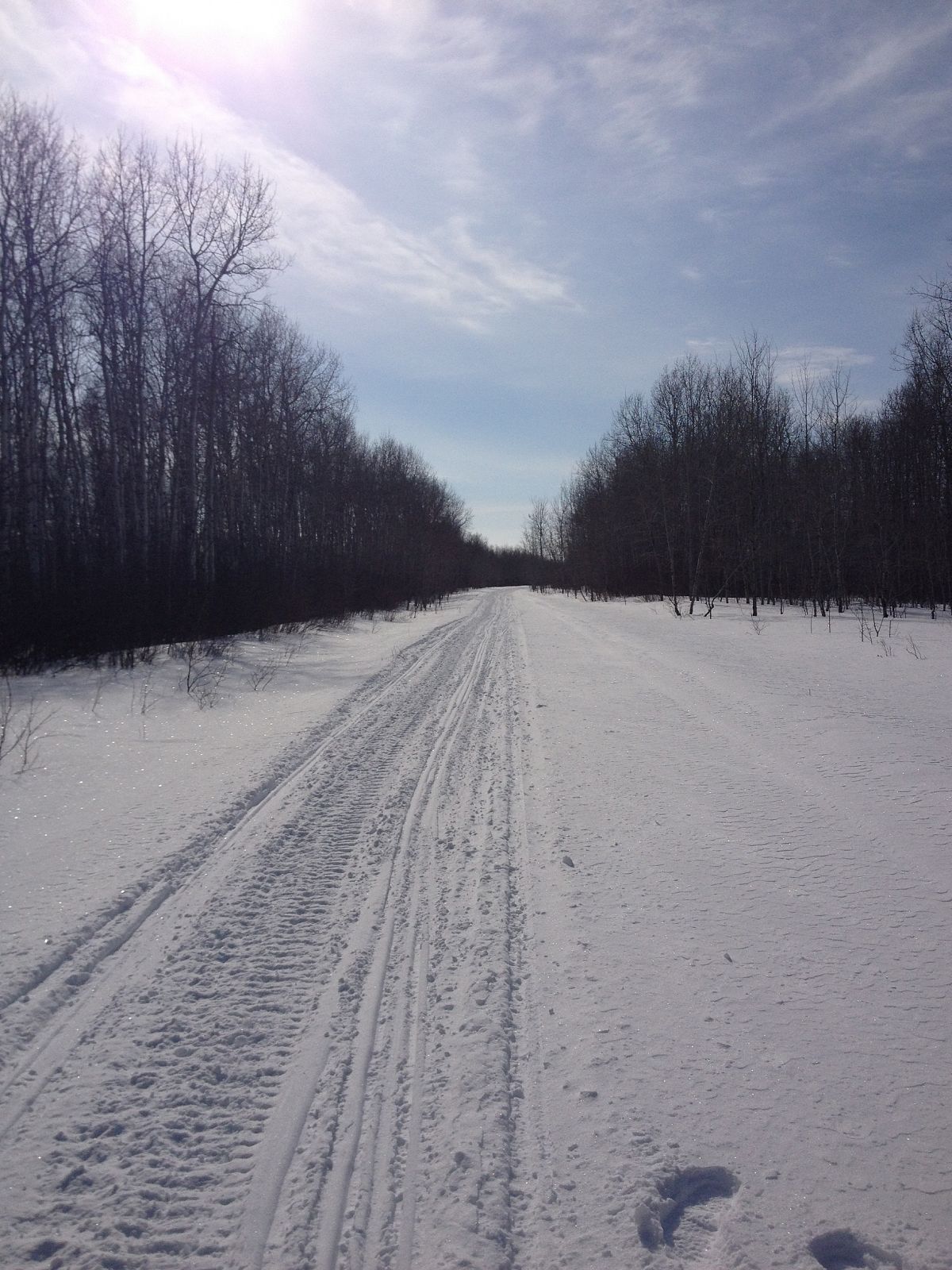 Gorgeous wide open well groomed trail.  Every snowmobilers delight!!!