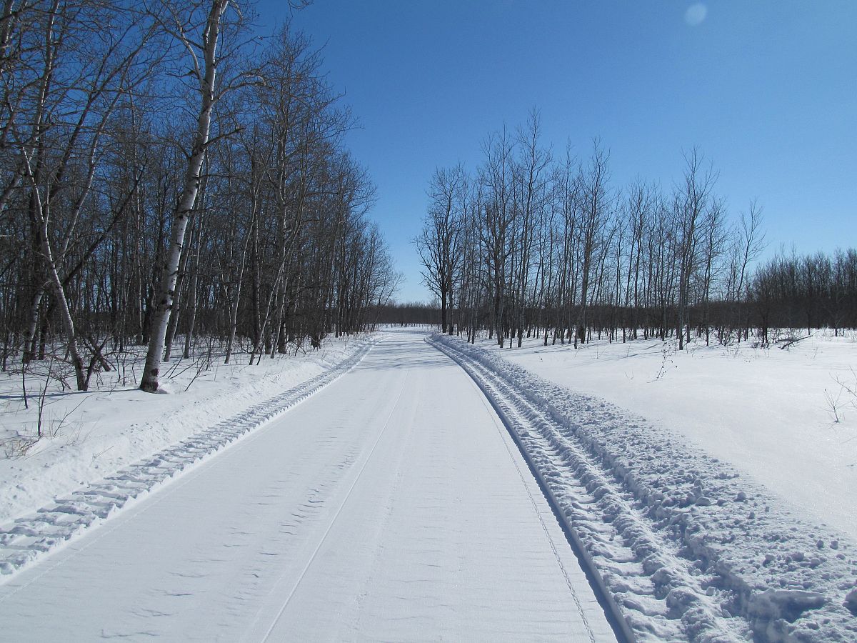 Northern Lites trail just groomed