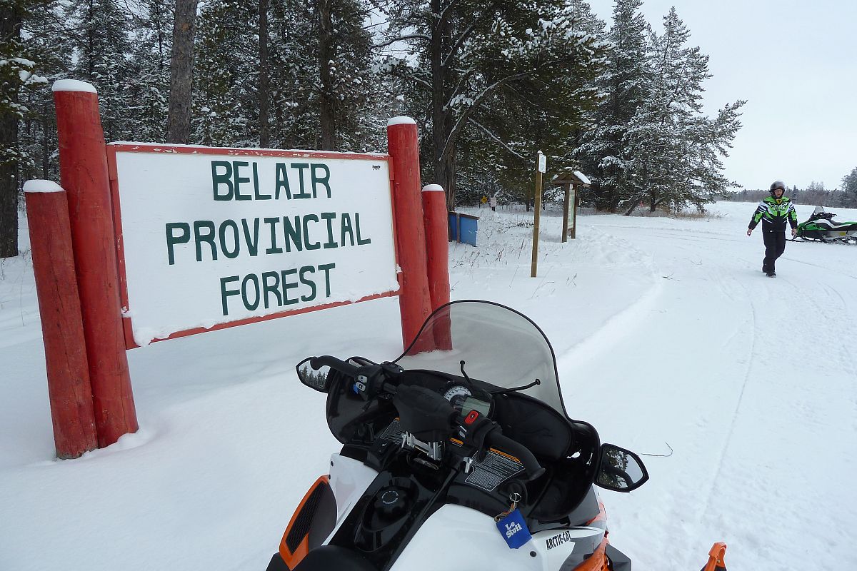 About to enter the Belair Forest. This is the earliest our trails have every been groomed.