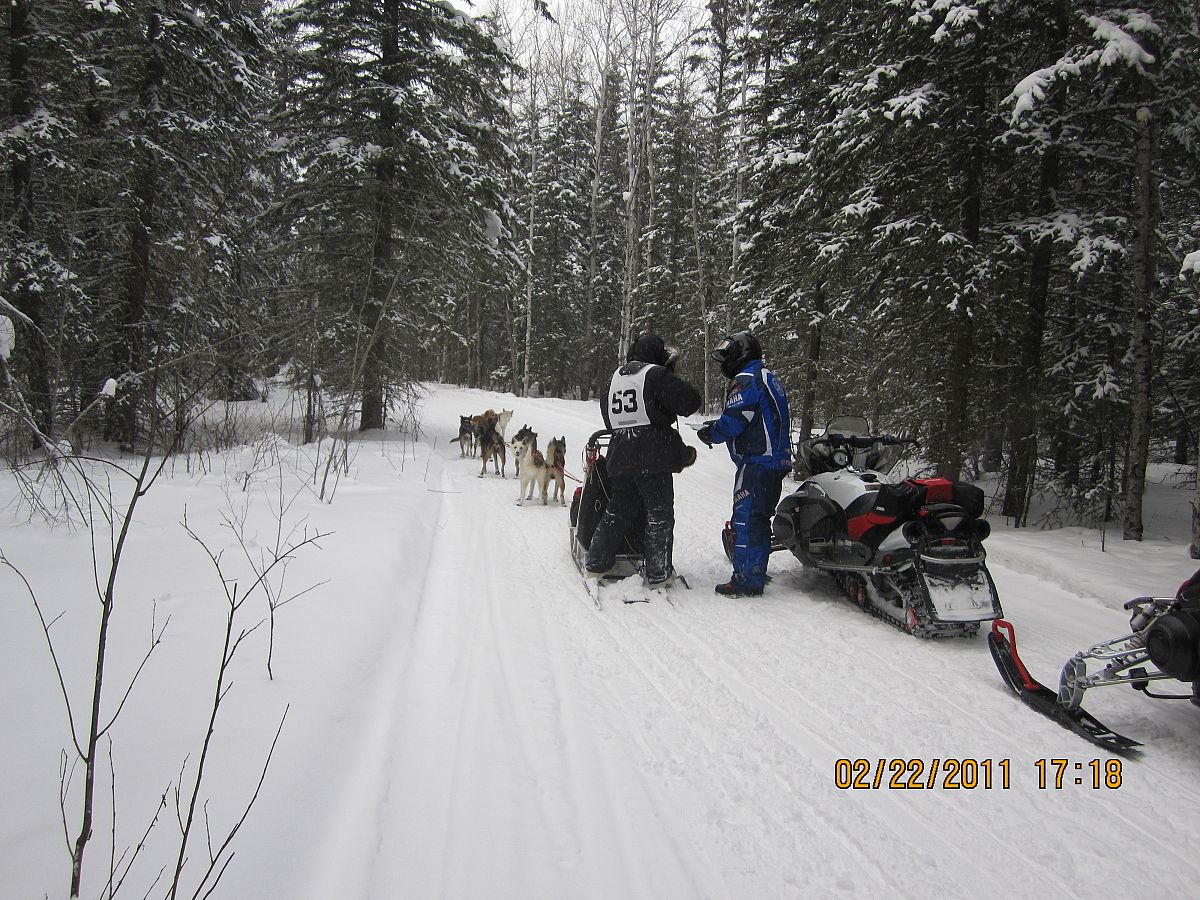Giving directions.  You never know what you'll see on a Saskatchewan trail! This was taken north of Emma Lake in the Lakeland area during our annual snowmobile trip, just happened to be at the same time as a dog sled race.