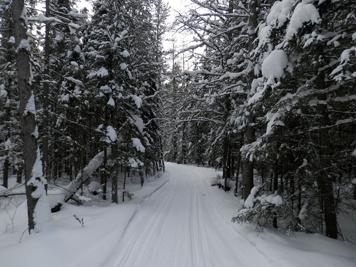 Trails north of Moosehorn