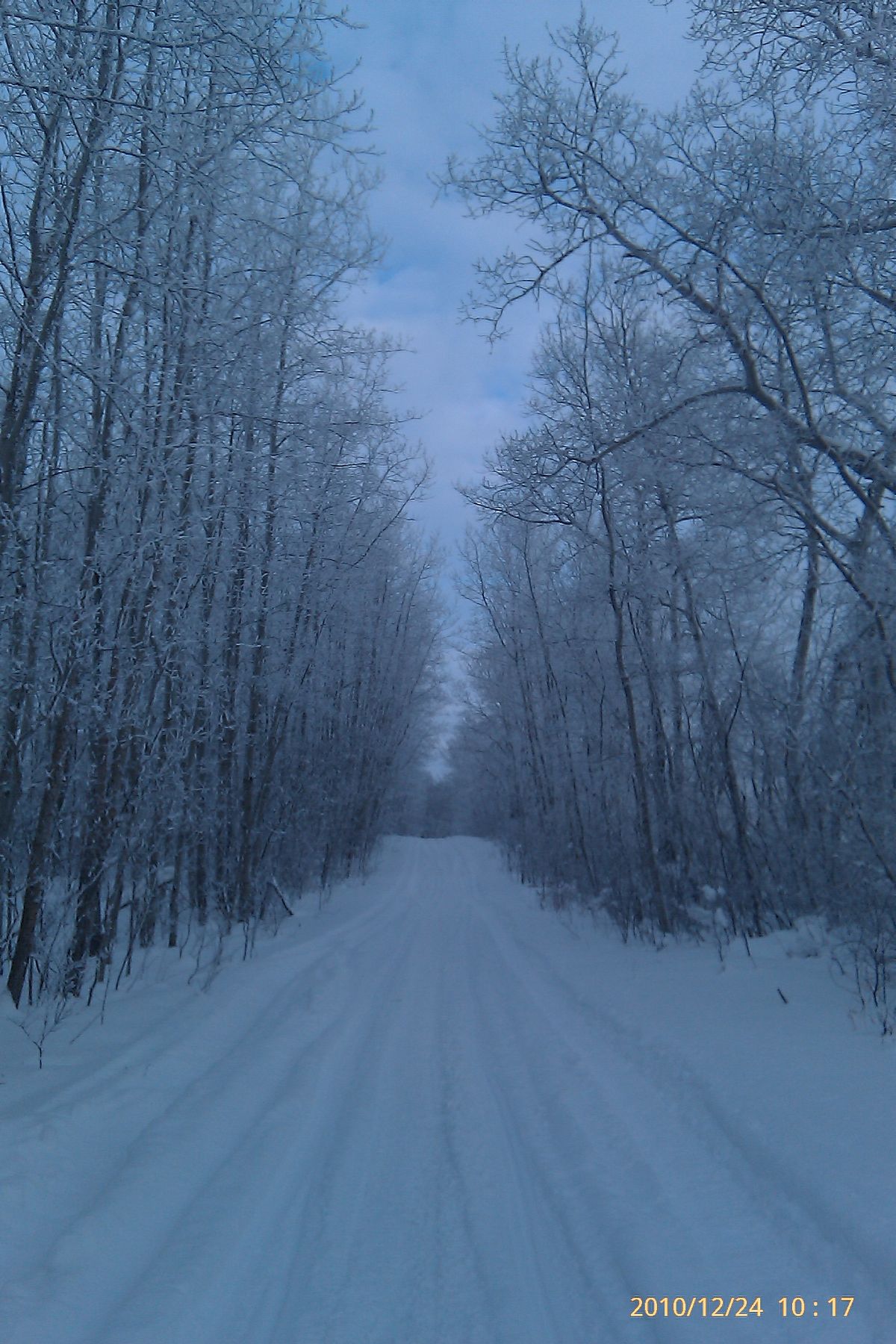 Winter Wonder land trail. 