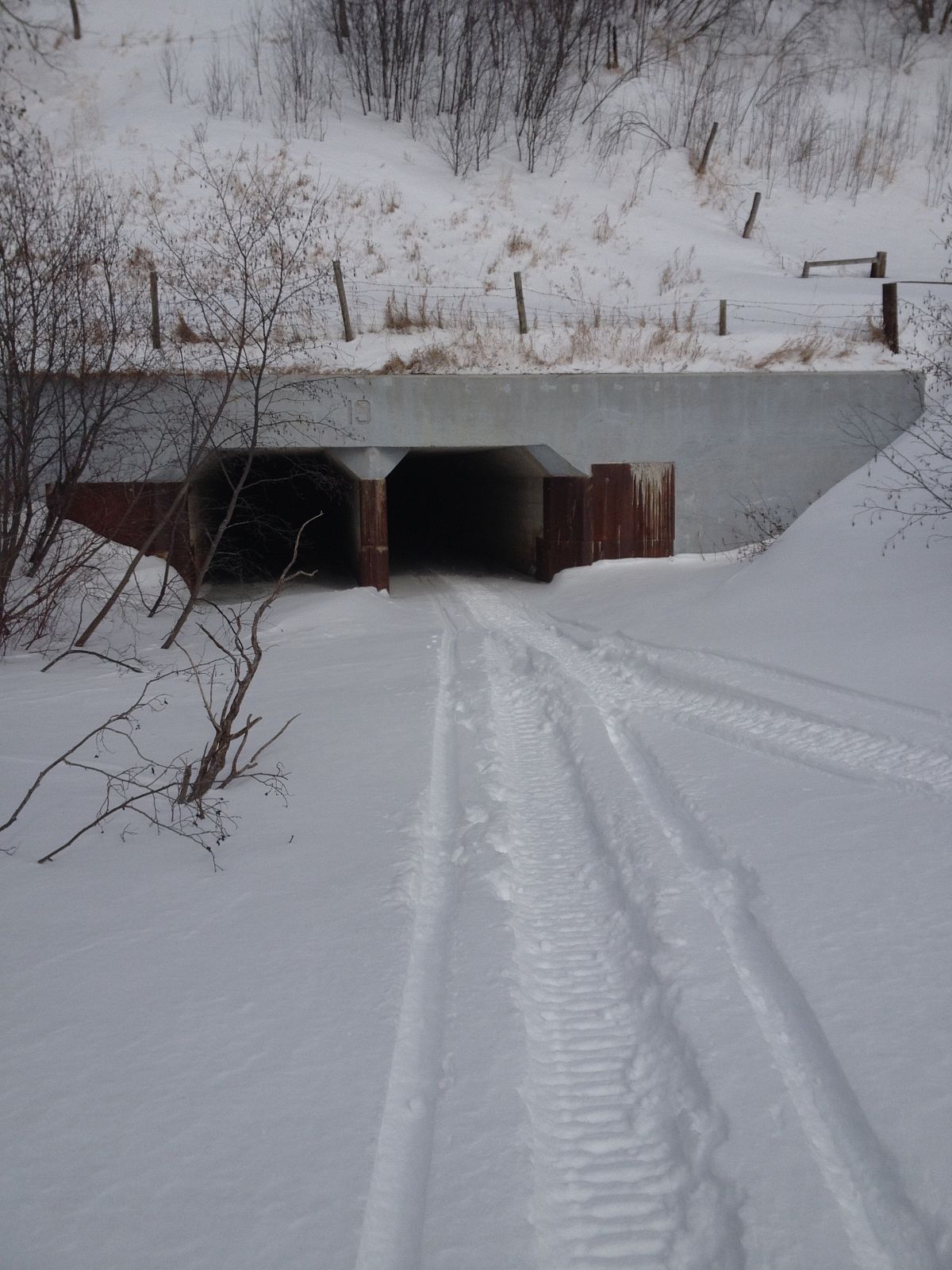 Go through tunnel but don't go any further. Turn around after the end.  Too much open water! 