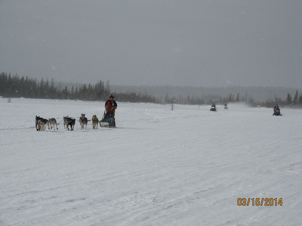 Pulling over for the dog sleds