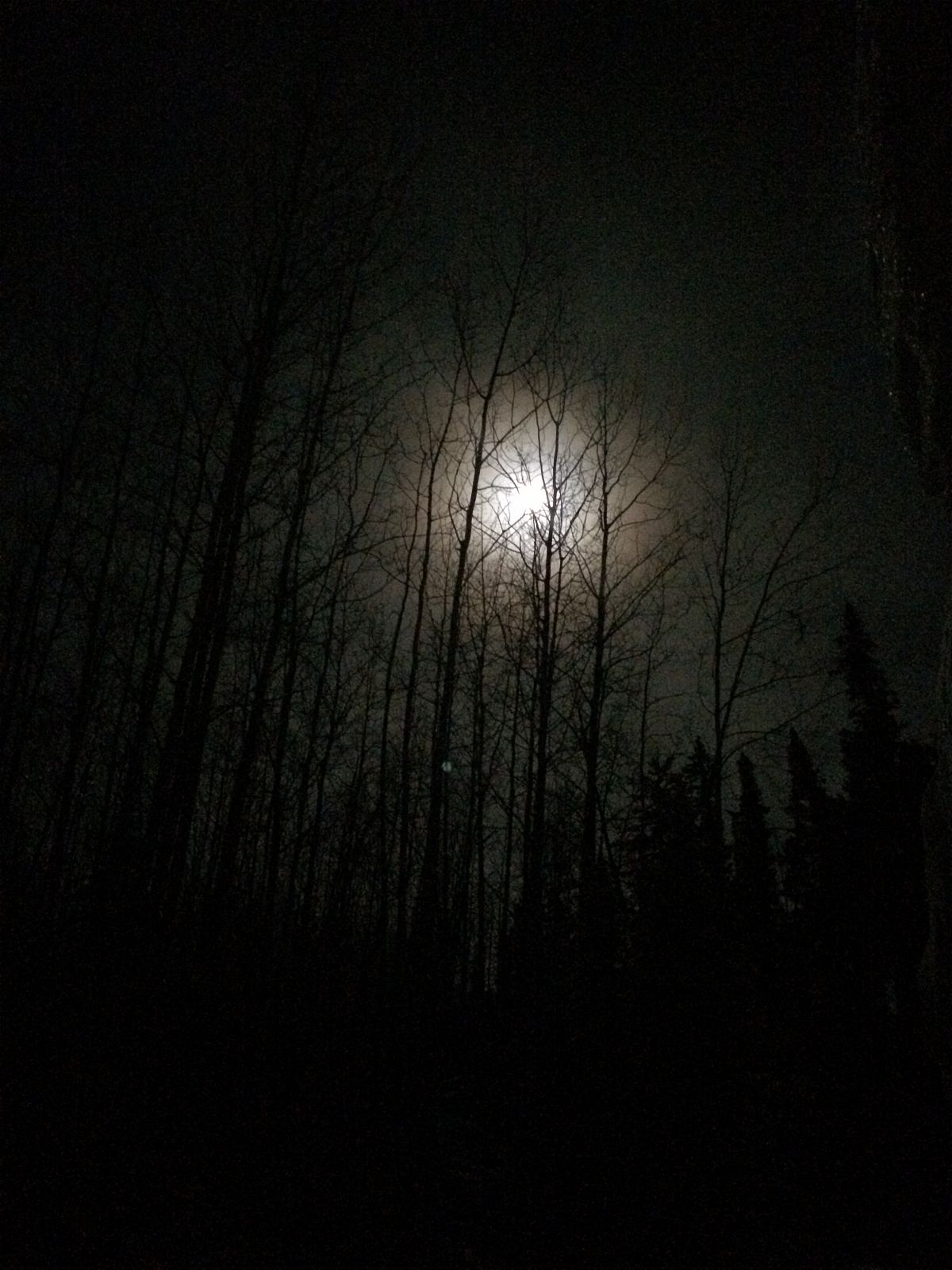 evening ride under a full moon