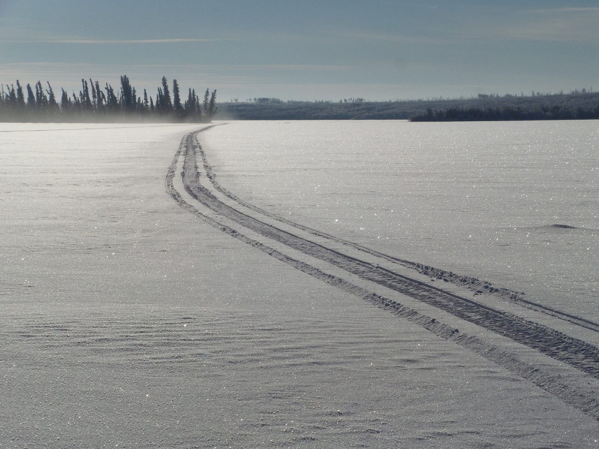 Fresh tracks on the Lake.