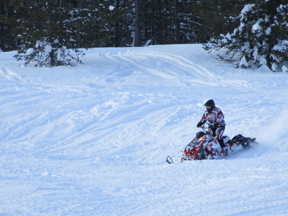 wild sled