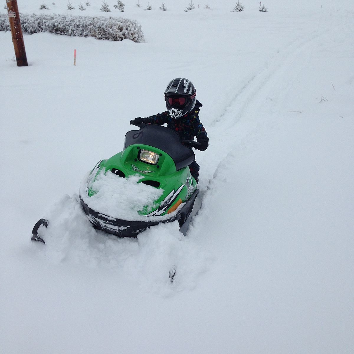 Bentley 3 years old driving his first sled