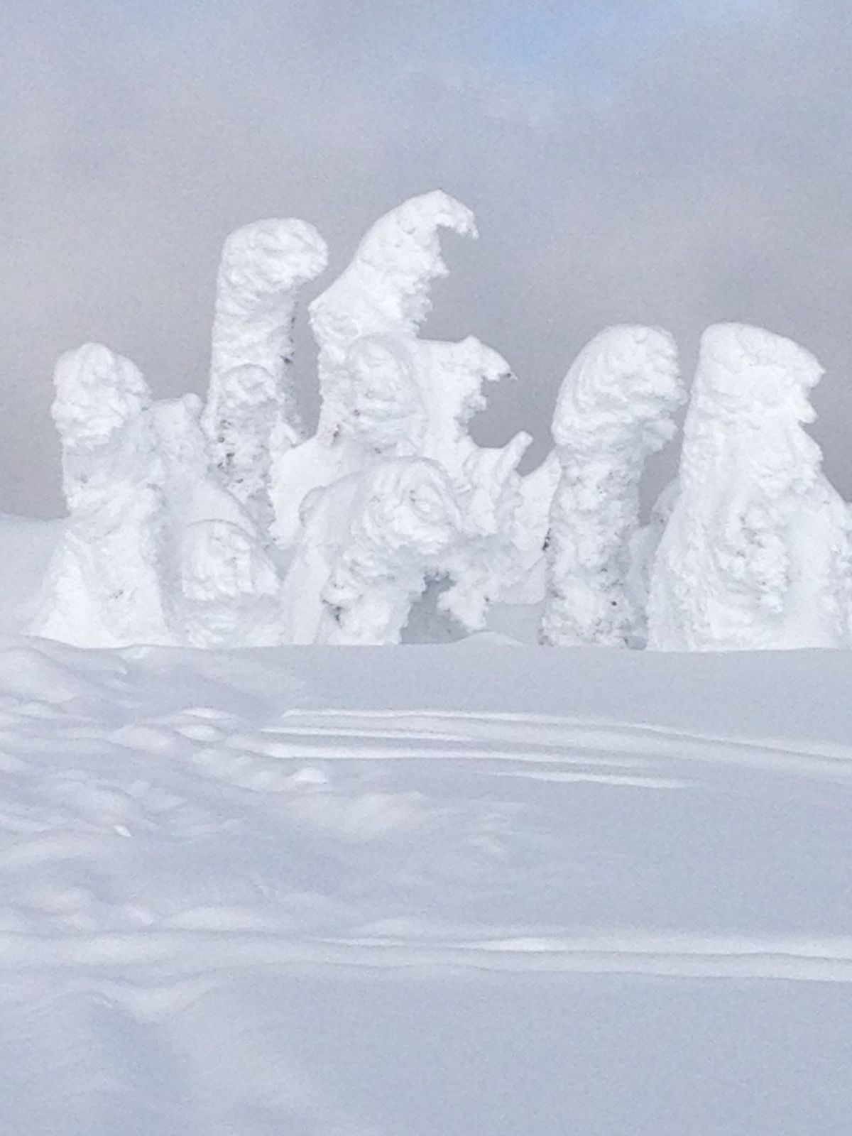 Seven dwarfs  in snow